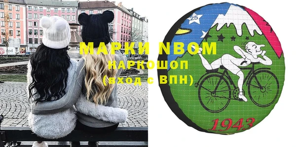 прущие грибы Верхний Тагил