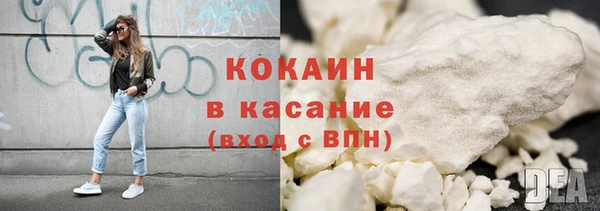 прущие грибы Верхний Тагил