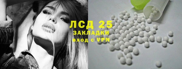 прущие грибы Верхний Тагил