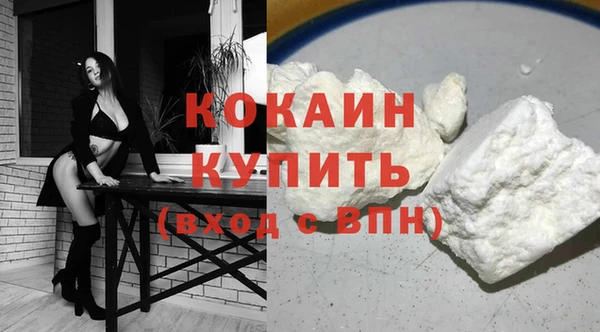 прущие грибы Верхний Тагил