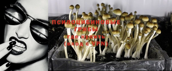 героин Бородино
